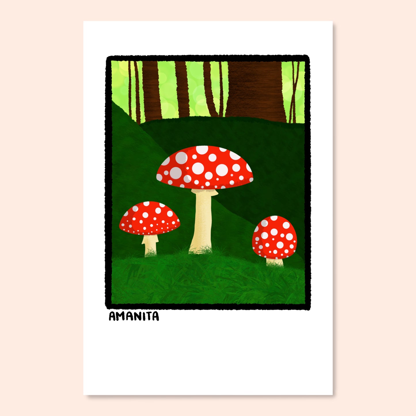 Mushroom Postcard Pack