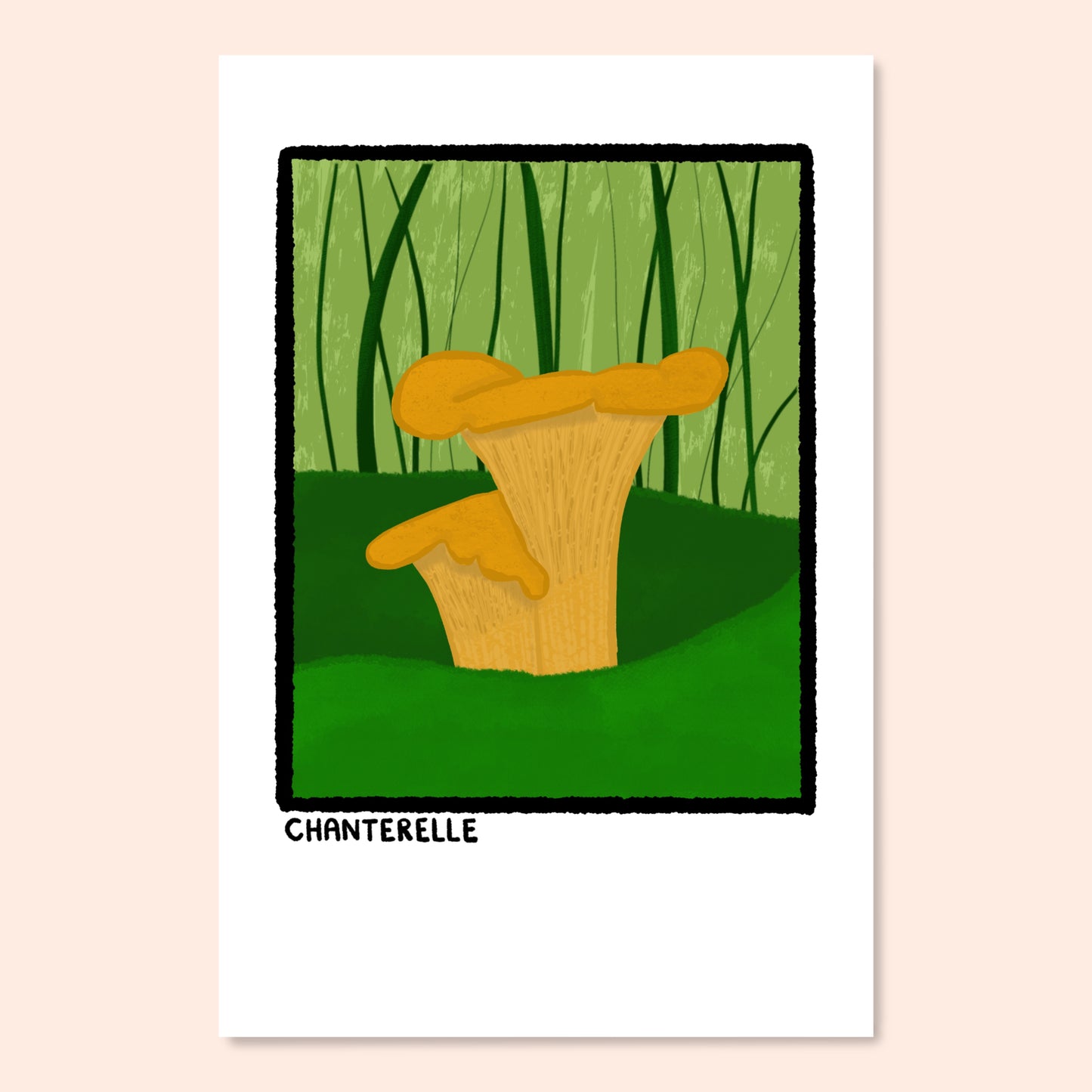 Mushroom Postcard Pack