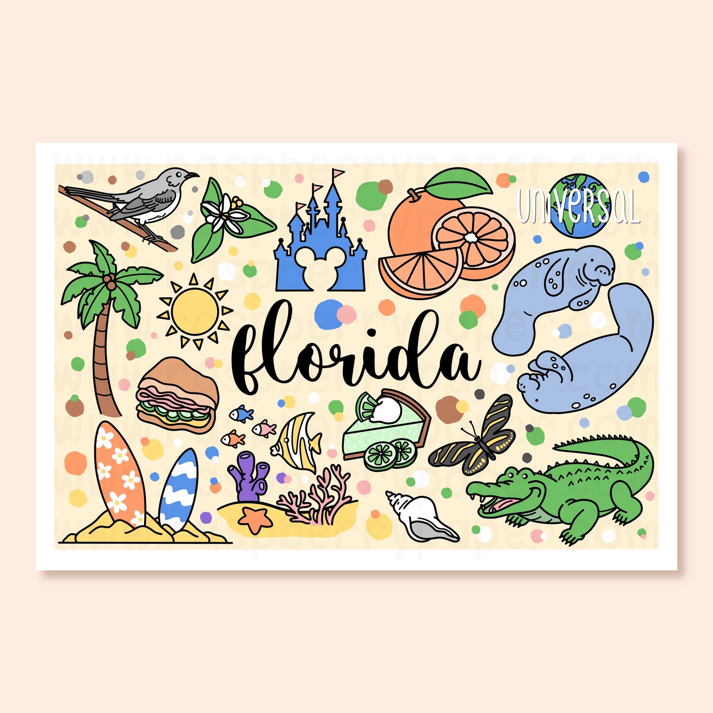 Florida State Postcard