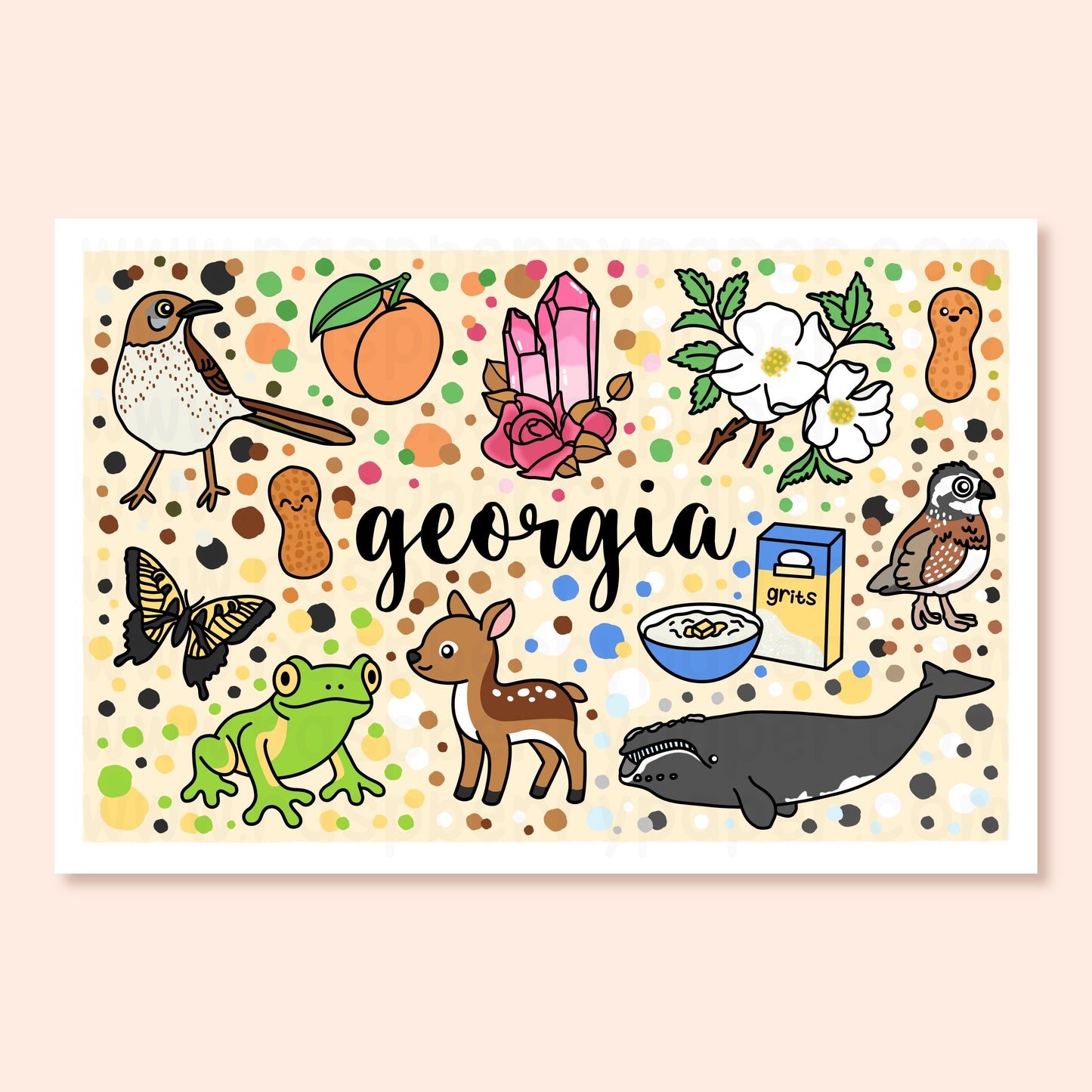 Georgia State Postcard