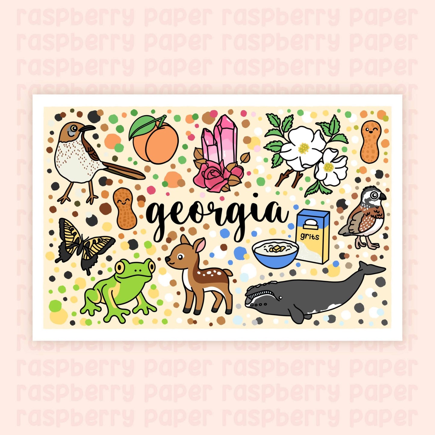 Georgia State Postcard