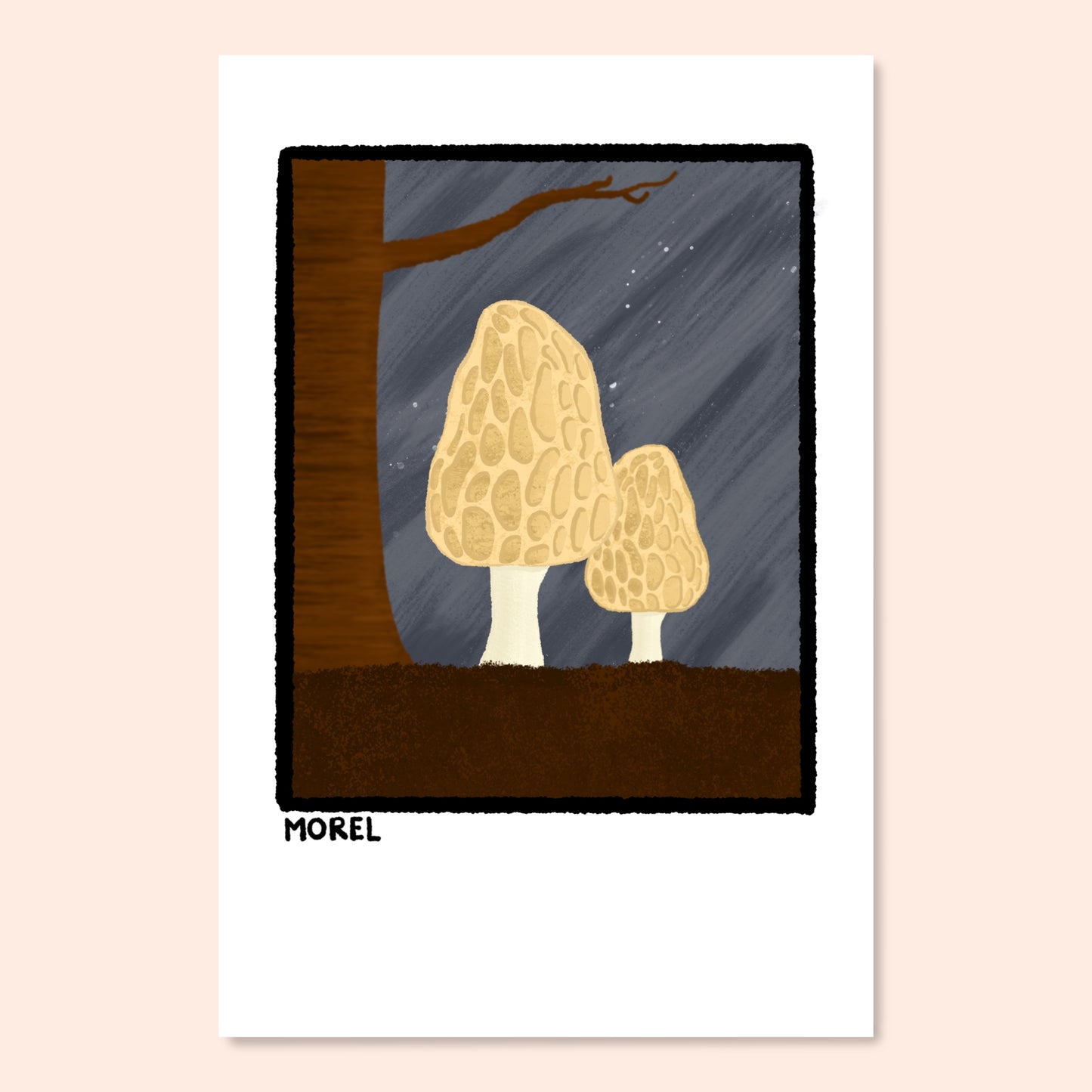 Mushroom Postcard Pack