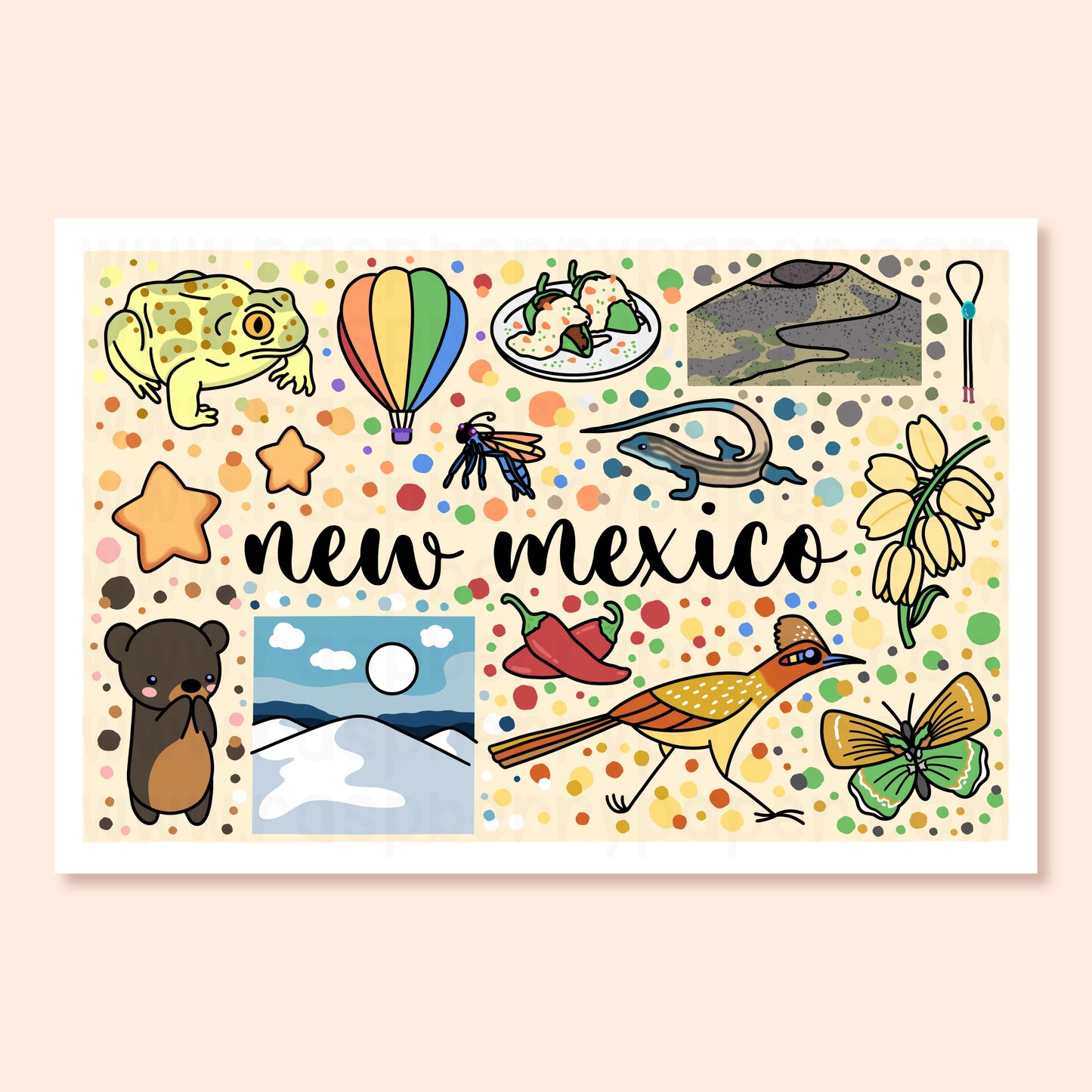 New Mexico State Postcard