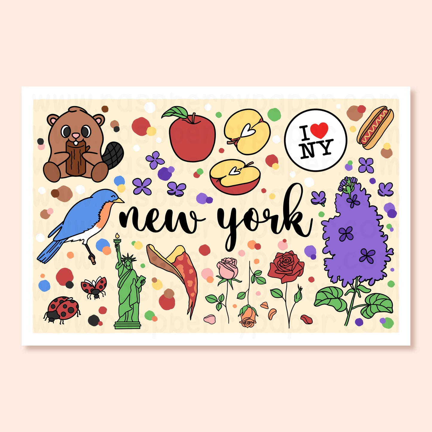 New York State Postcard