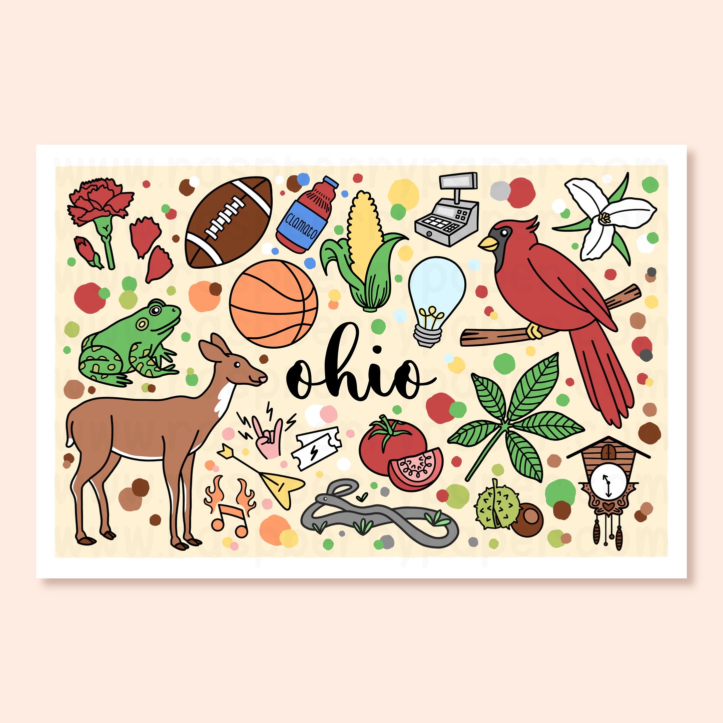 Ohio State Postcard