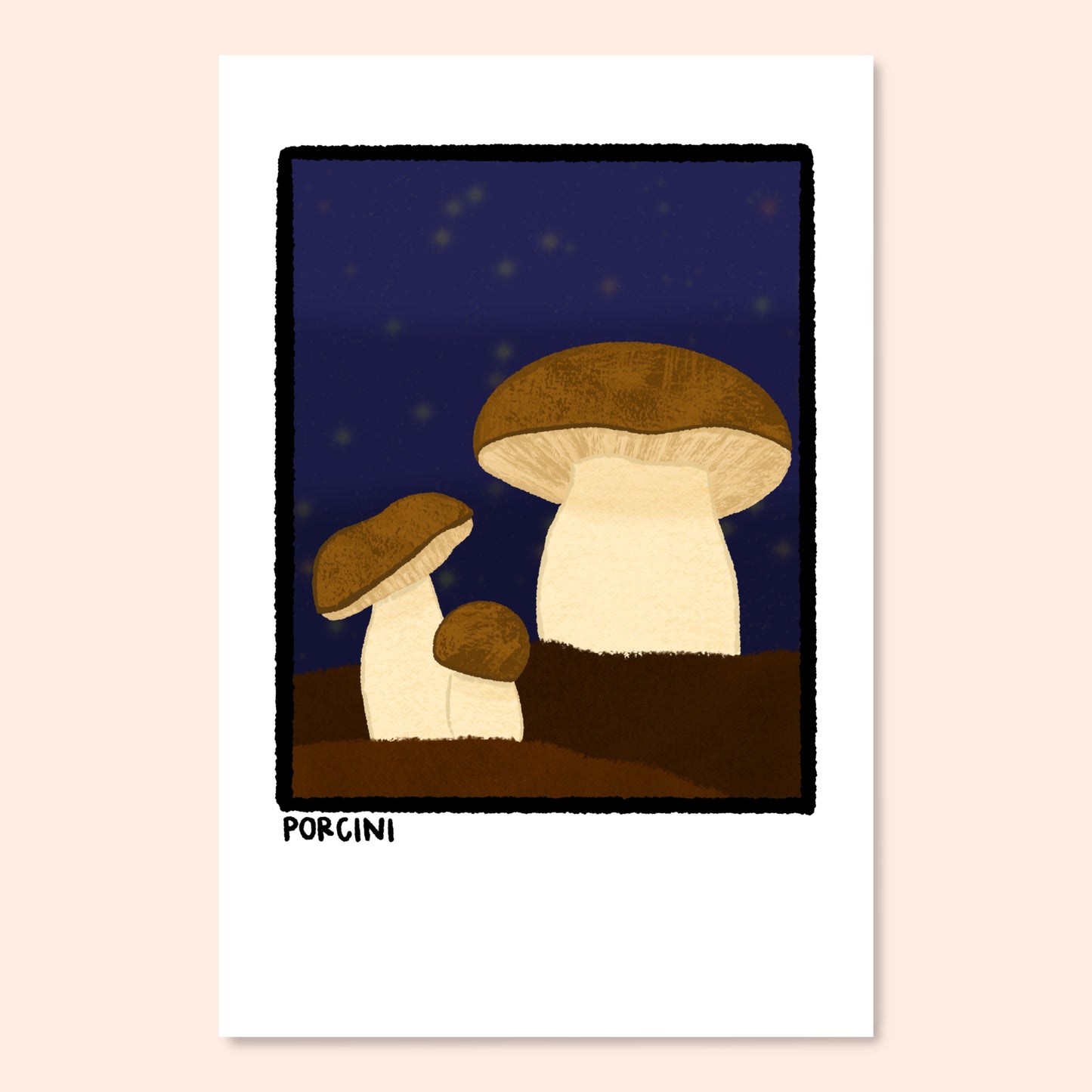 Mushroom Postcard Pack