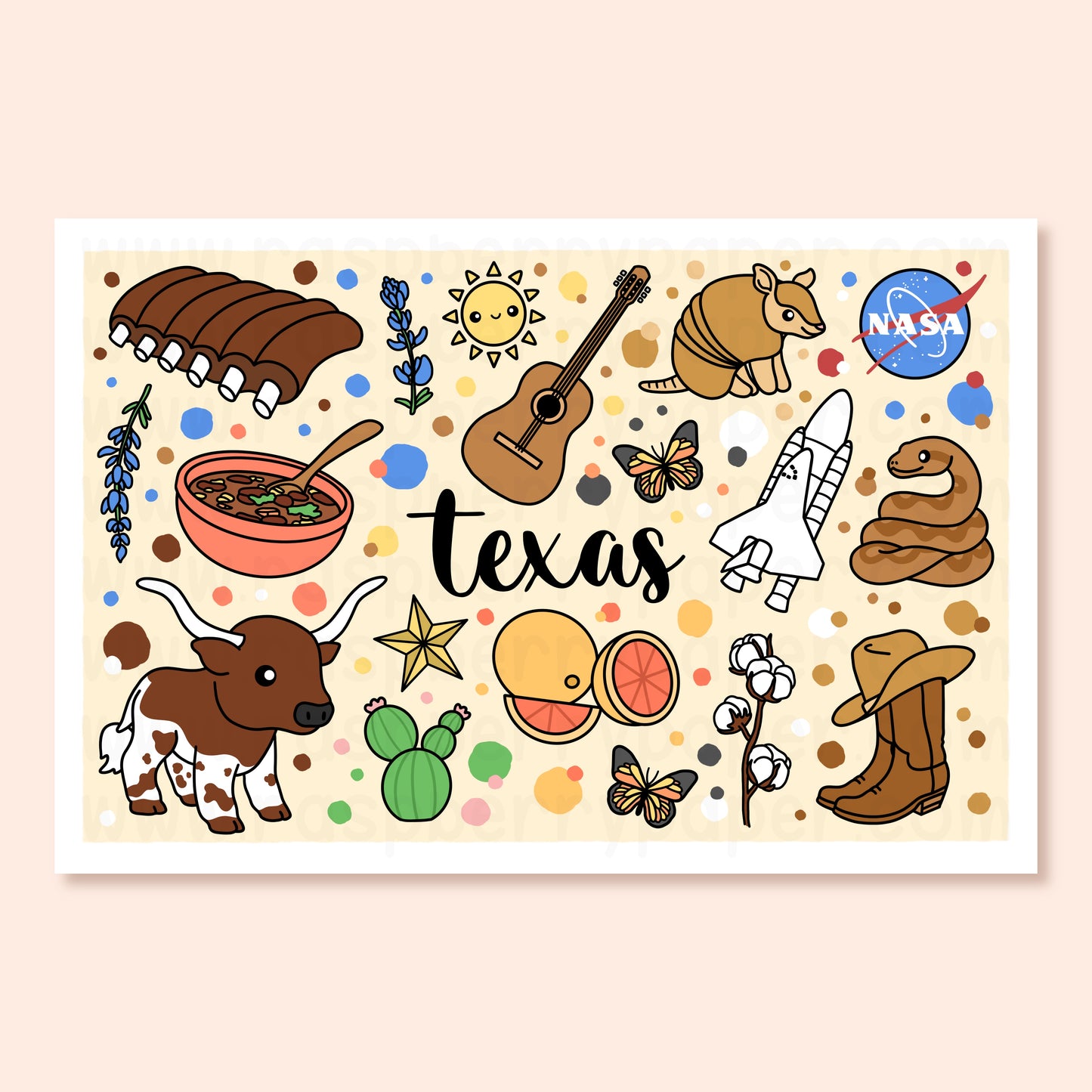Texas State Postcard