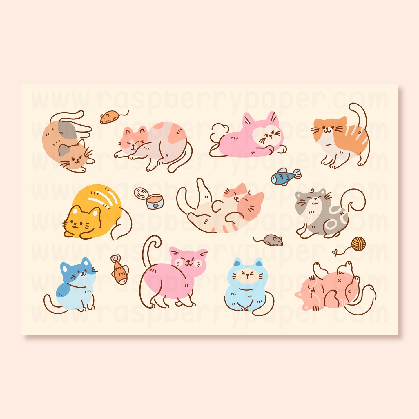 Cats Postcard