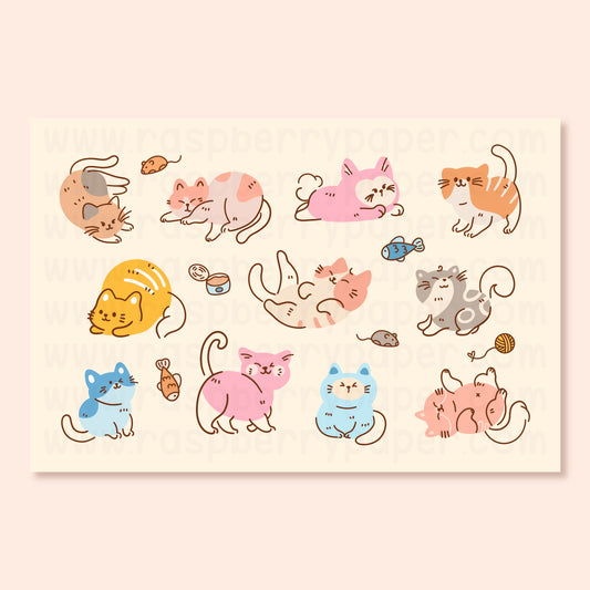 Cats Postcard
