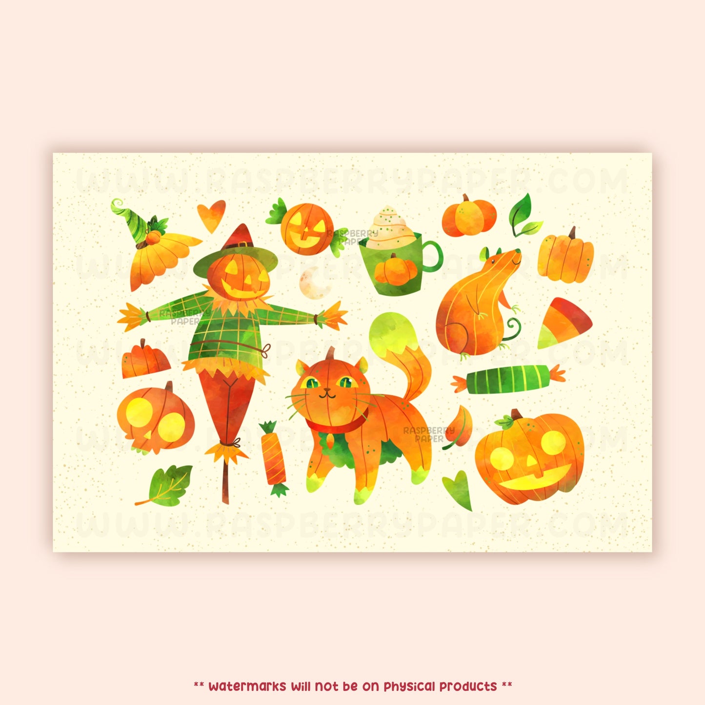 Pumpkin Patch Postcard