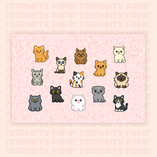 Cute Kitties Postcard