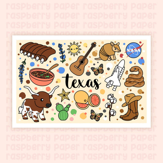 Texas State Postcard