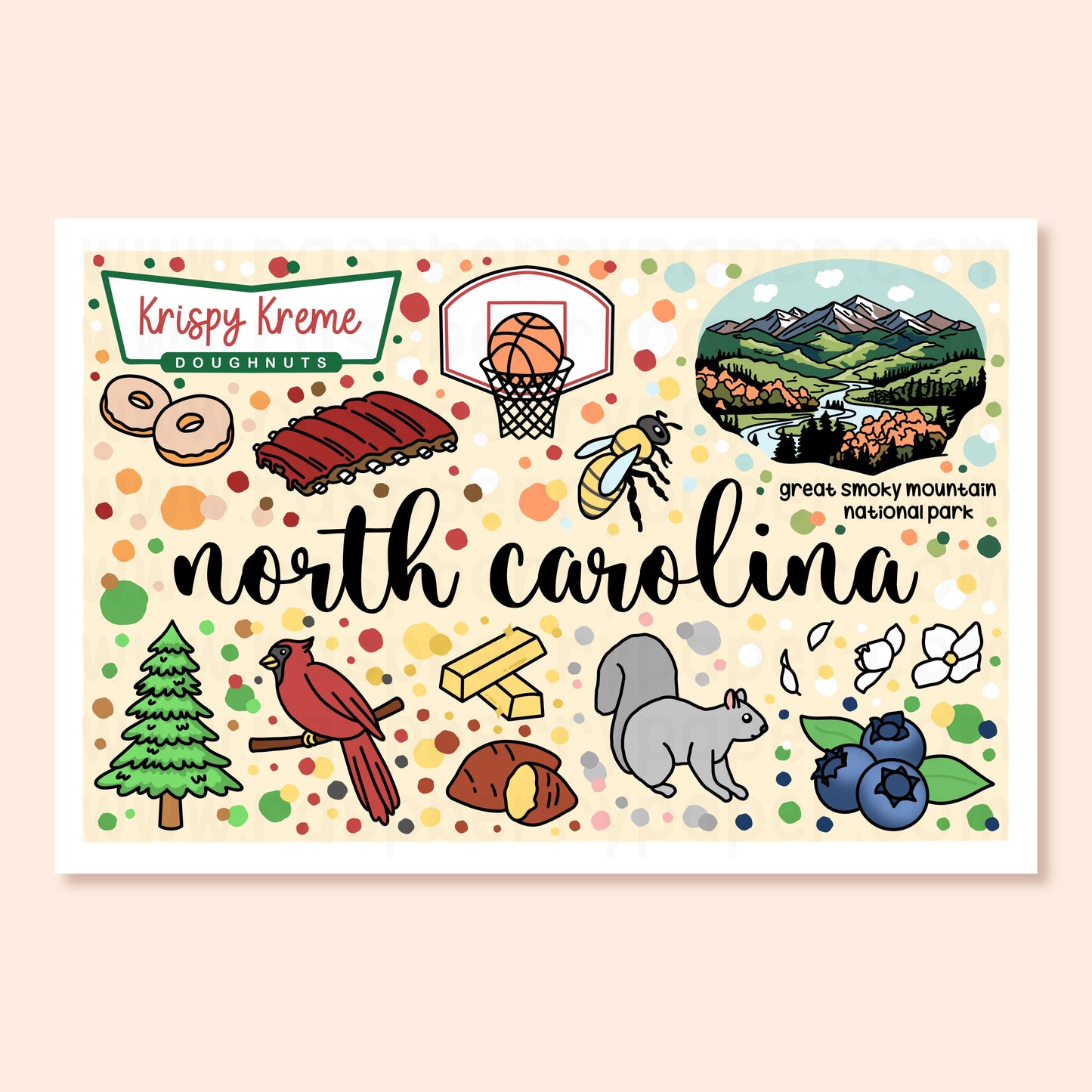 North Carolina State Postcard