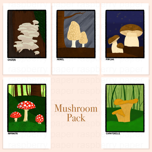 Mushroom Postcard Pack